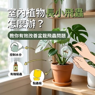 植物飛蟲管理.jpg